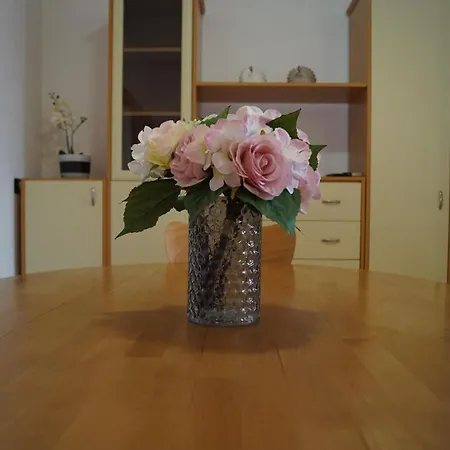 Apartmán Akira