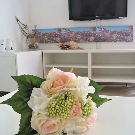 Akira Apartmán *